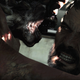 Image for article titled Everything we Know about The Last of Us